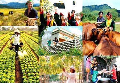 Phê duyệt Đề án Hỗ trợ nhà ở cho hộ nghèo, hộ cận nghèo trên địa bàn các huyện nghèo, tỉnh Kon Tum