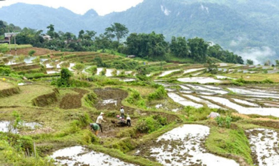 Mức hỗ trợ dự án khai hoang để giao đất có khả năng sản xuất vùng dân tộc thiểu số