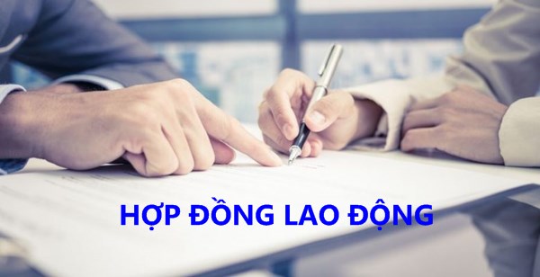 Các công việc thực hiện hợp đồng trong cơ quan hành chính