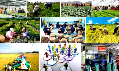 Các giải pháp phát triển kinh tế tập thể năm 2024