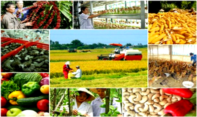 Chương trình hành động của Chính phủ về thực hiện nông nghiệp, nông dân, nông thôn đến năm 2030, tầm nhìn đến năm 2045