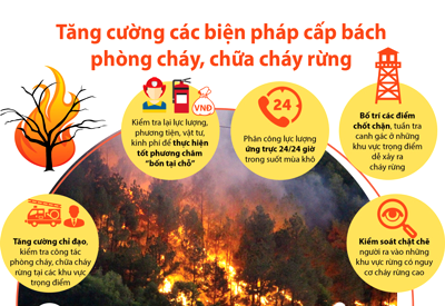Tăng cường triển khai các nhiệm vụ quản lý, bảo vệ rừng và phòng cháy chữa cháy rừng trên địa bàn tỉnh