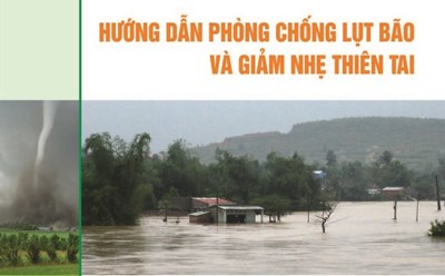 Chủ động phòng, chống sạt lở, bảo đảm an toàn tính mạng và tài sản của Nhân dân trước và trong mùa mưa lũ