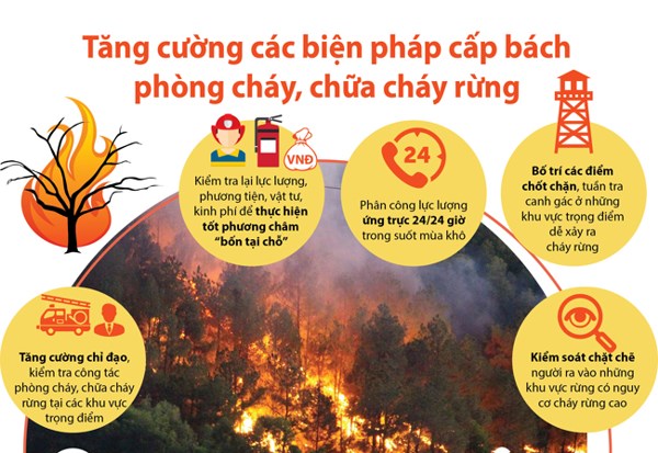 Tăng cường các biện pháp cấp bách phòng cháy, chữa cháy rừng trên địa bàn tỉnh
