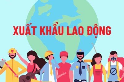 Chỉ đạo triển khai thực hiện Quyết định của Thủ tướng Chính phủ về hỗ trợ cho vay để ký quỹ tại Ngân hàng Chính sách xã hội đối với người lao động thuộc đối tượng chính sách đi làm việc tại Hàn Quốc