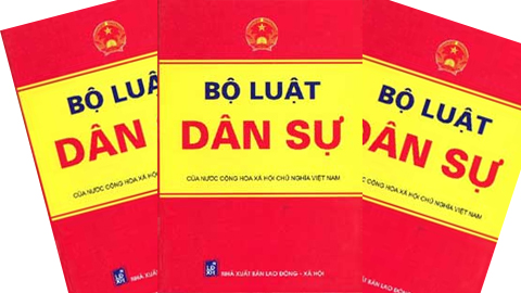 Kế hoạch triển khai thi hành Bộ luật dân sự.